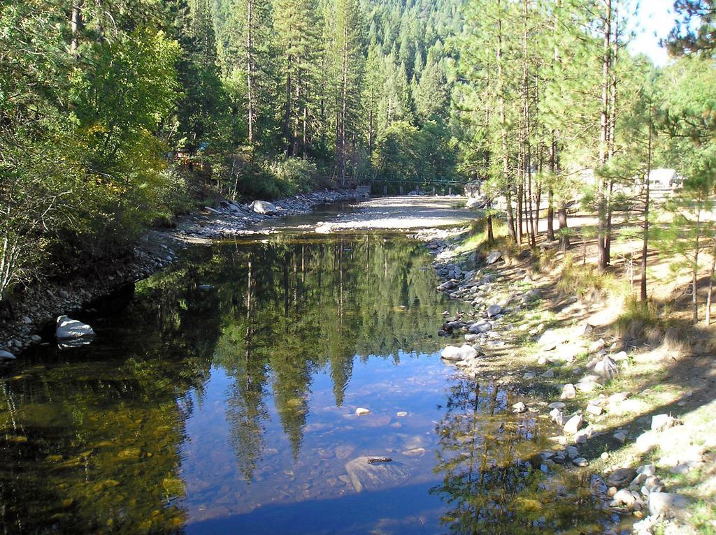 Yosemite Lakes Cottage 52 Harden Flat Esterno foto